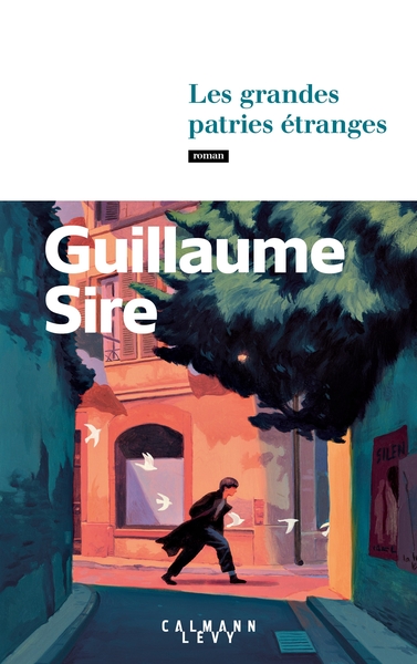 couverture du livre Les grandes patries étranges