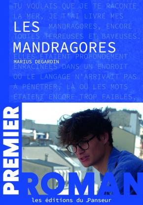 les-mandragores-marius-degardin-le-panseur-2-1.jpg